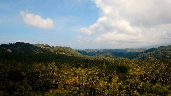 有热带森林的山脉菲律宾宿雾岛