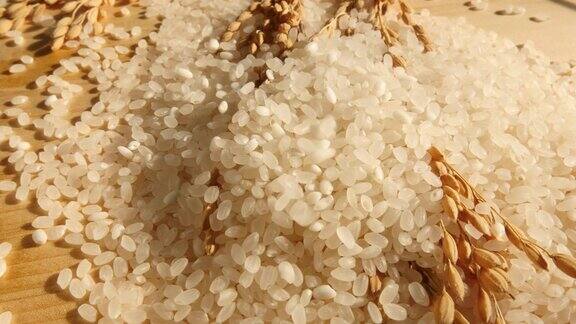将大米倒在稻穗上