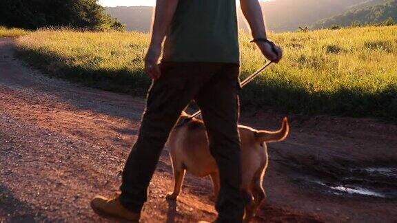 日落时分一位老人带着他的狗在大自然中散步他和他的狗一起探索