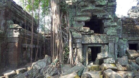 柬埔寨暹粒吴哥窟的塔普隆寺