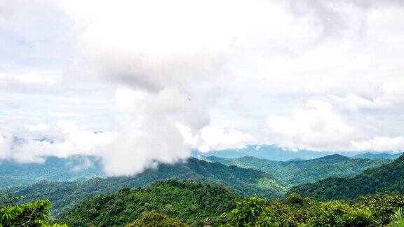 宁静的场景雾和云流动在热带树木在山上延时视频
