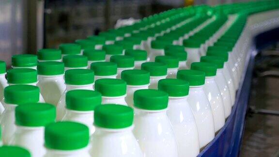 工厂里的传送带上有许多装着牛奶的瓶子在移动