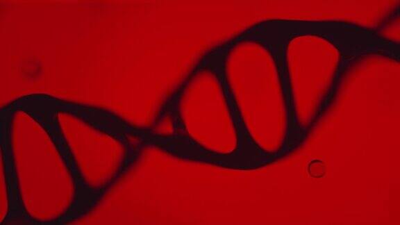电影逼真的黑色DNA动画在浅红色的背景三维渲染