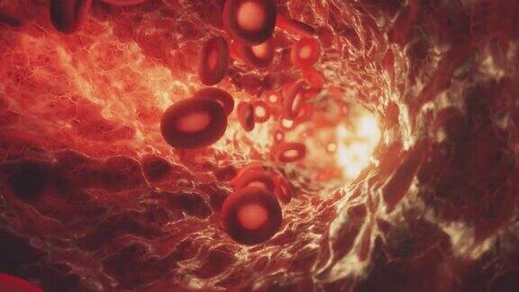 红细胞在动脉血流中移动血红蛋白细胞通过血管的三维无缝循环动画