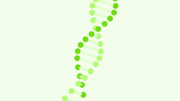 DNA分子模型