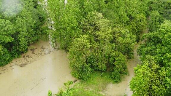下雨天斯洛文尼亚森林的洪水鸟瞰图