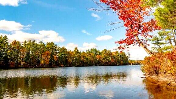 加拿大格雷文赫斯特马斯科卡湖的秋色