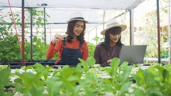 女园丁拿着笔记本电脑检查地里的蔬菜田里的蔬菜一名女园丁在农场使用水质仪检查水培系统水箱的EC值