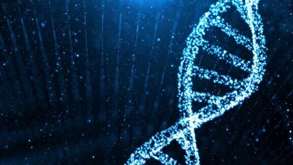 旋转DNA双螺旋的3d动画由反射气泡漂浮在深蓝色复制空间背景