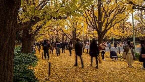 时光流逝:行人拥挤的日本东京青山花园