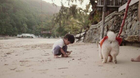 快乐的小男孩和狗在沙滩上玩