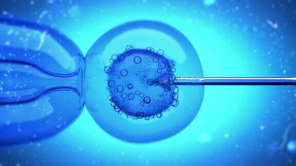 一个充满DNA的液体被注入卵细胞细胞核的3D动画