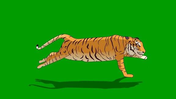 老虎跑步动画