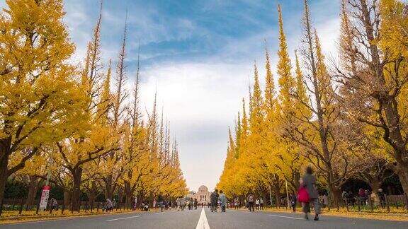 时光流逝:日本东京青山明治神宫花园拥挤的行人