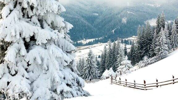 冬天的山农村景观树被雪覆盖着新年快乐