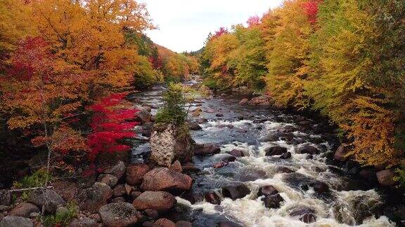 鸟瞰北方自然森林和河流在秋天魁北克加拿大