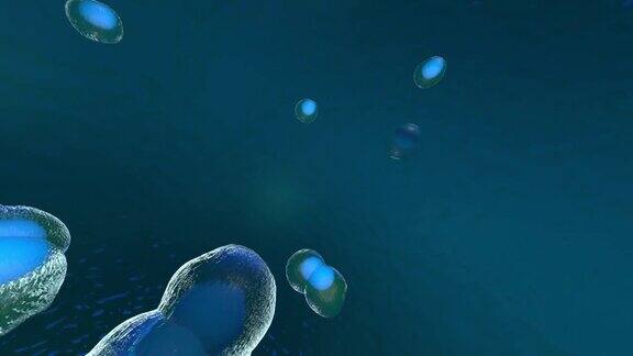 医学全景背景细胞生物学三维渲染处理最小的生命单位