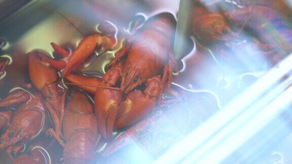 新鲜的瑞典小龙虾在鱼市出售