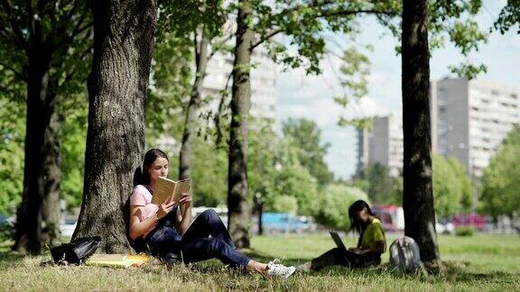 美丽的女学生坐在树下倚着树干在公园里看书又一个大学女生在后台用笔记本打字