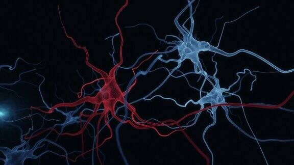 放电神经元的动画