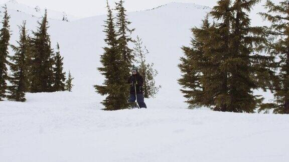 年轻的成年人在树林中滑雪