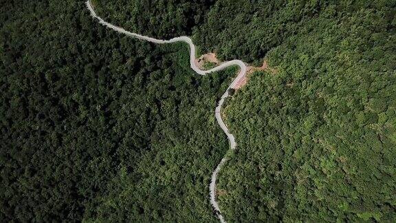 鸟瞰图蜿蜒的道路在森林和汽车驾驶安全驾驶