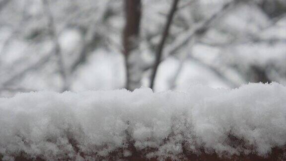 落在篱笆上的雪