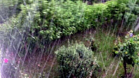 雨伴冰暴春暖花开时节