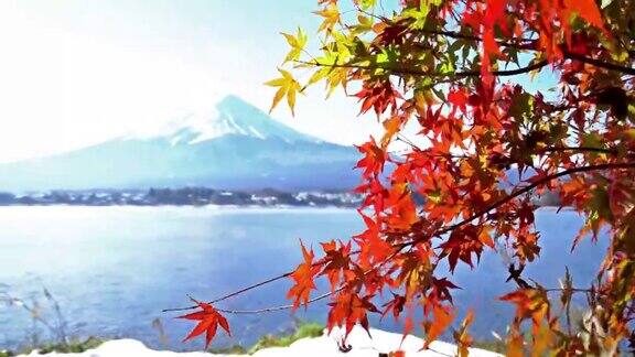 摄影:富士山在日本山梨县川口湖秋景
