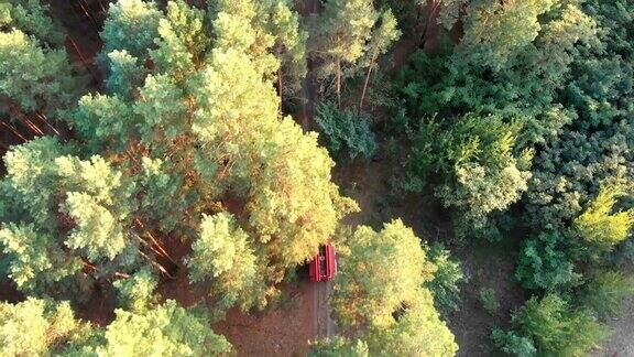 无人机俯瞰沿着松树林道路行驶的红色消防车