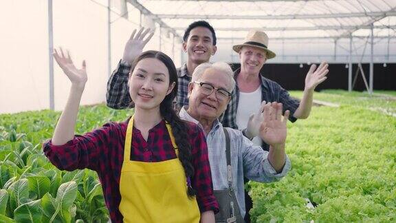 画像群多样化的菜农工人挥手欢迎的手势水培温室农场有机新鲜收获蔬菜概念