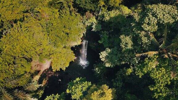 印尼巴厘岛丛林中的瀑布