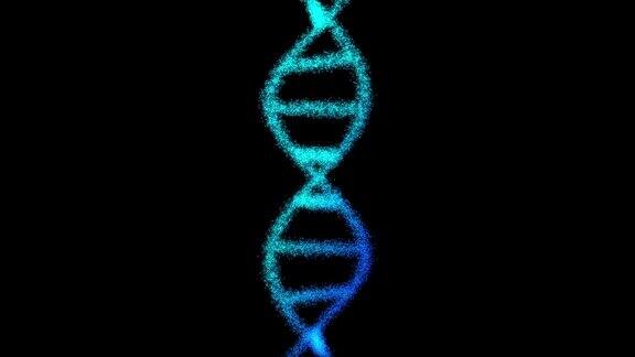 由黑色背景上的粒子组成的DNA二维动画60fps主题在中间