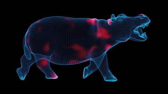 病毒通过黑色背景的体积动物传播病毒在体内的可视化演示教程视频医学概念60FPS3D动画
