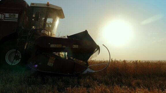 小麦收成小麦收获剪近距离拍摄夏日夕阳下的农田里收割机正在收割金黄色的熟麦农业粮食生产产业