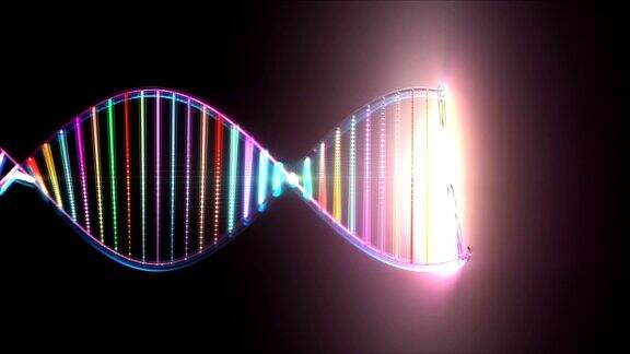 彩色DNA遗传密码