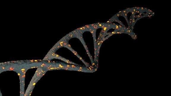 黑色背景下DNA生长的3D动画DNA的方向是斜的表面材料为黑色和火焰色