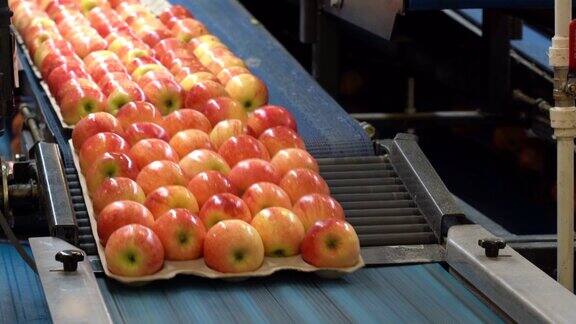 环保包装的新鲜苹果在生鲜产品集散中心传送带上移动