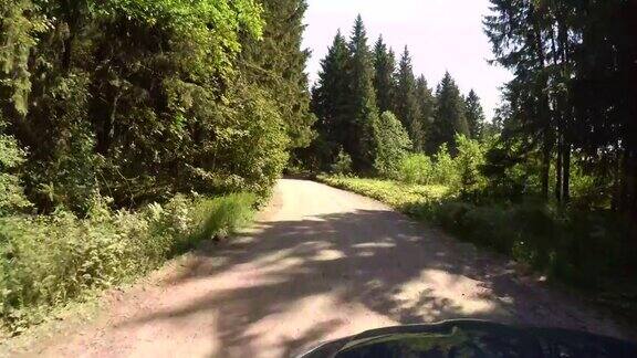 在夏天的森林里开车旅行4k