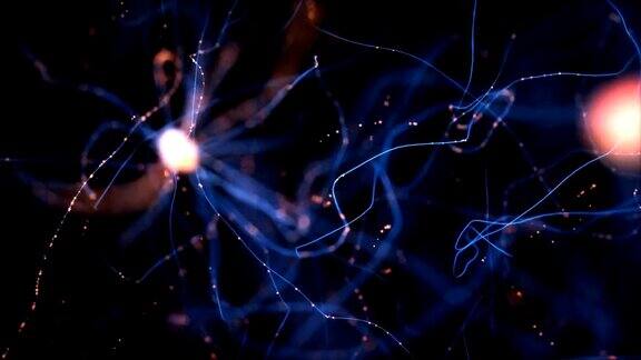神经元电脉冲