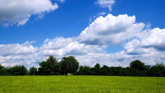 绿色的田野和蓝色的天空