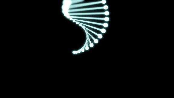 闪烁的DNA在黑色背景上的3D动画60fps镜头从俯视变为侧视