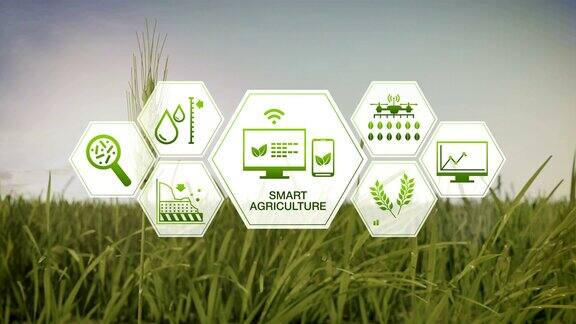 智慧农业智慧农业大麦绿田六边形信息图形图标物联网第四次工业革命