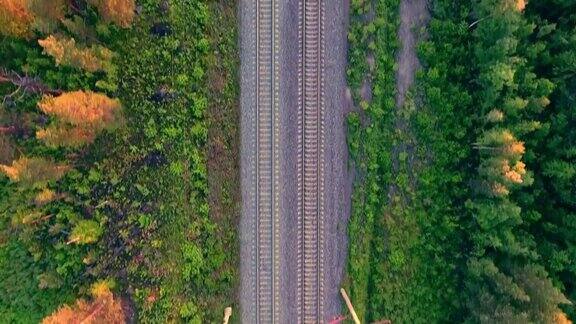 鸟瞰图:夏季森林景观树带之间的火车
