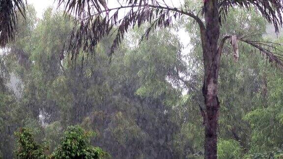 大雨