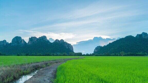 4K时间推移:日落水稻在泰国北部