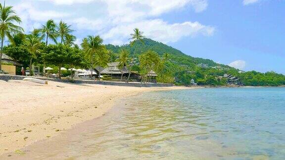 美丽的岛屿鸟瞰图与海滩和大海周围的椰子树