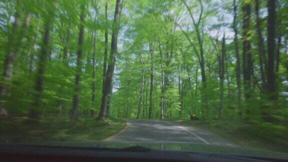 在丘陵、弯曲、森林道路上行驶