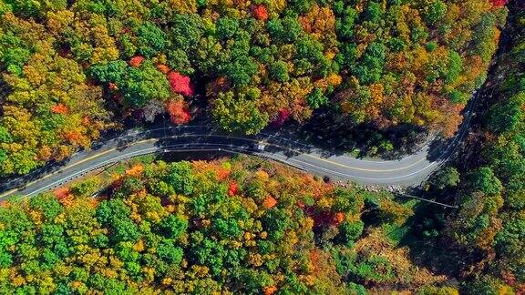 在阿巴拉契亚山波科诺斯宾夕法尼亚州的森林道路顶视图秋天的树叶空中无人机视频