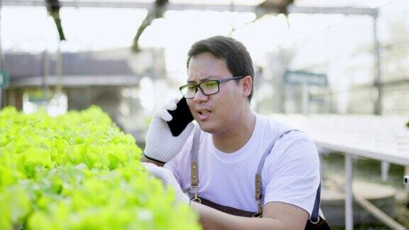 年轻的亚裔男子在水培农场用智能手机说话